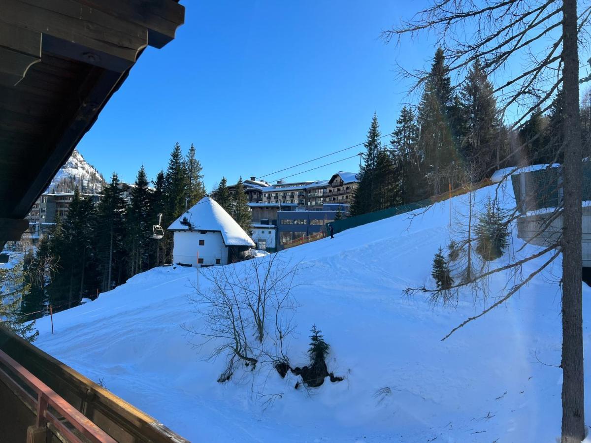 Haus Alpina Daire Sonnenalpe Nassfeld Dış mekan fotoğraf